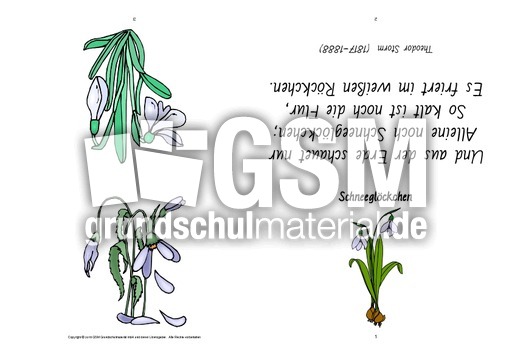 Faltbuch-Schneeglöckchen-Storm.pdf